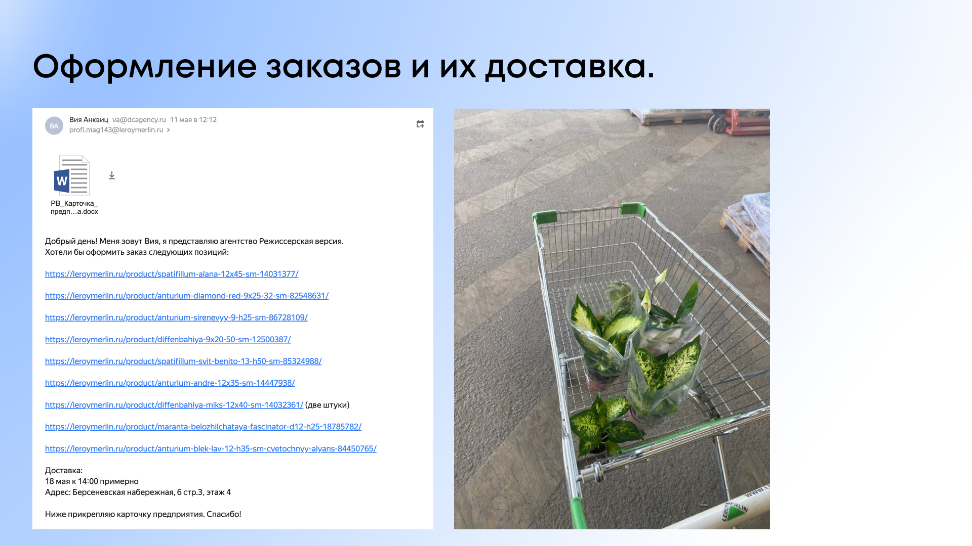 Кейс Directors_cut — материал 21